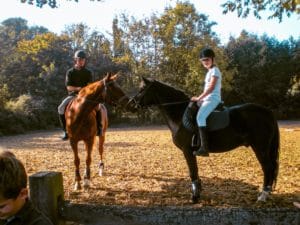 patrick expert cheval-2