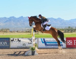 displines equestres olympiques