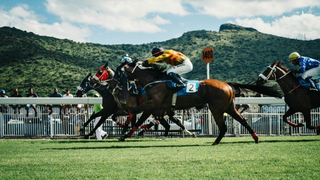 redemarrer-saison-concours-equestre-1