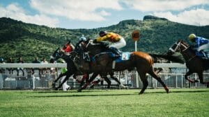 redemarrer-saison-concours-equestre-1