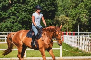 ffe examens federaux