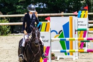 records des chevaux