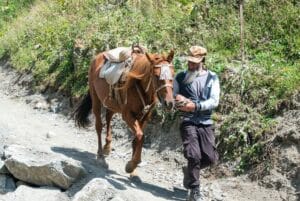 travail a pied cheval 2