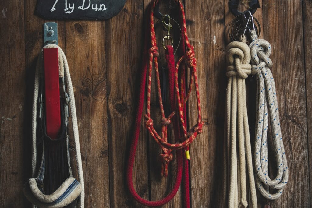 equipement de son cheval