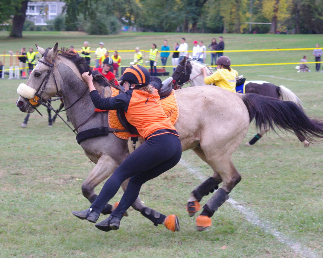 Le Le Pony games D couvrez Toutes Les Facettes De La Discipline le-le-pony-games-d-couvrez-toutes-les-facettes-de-la-discipline