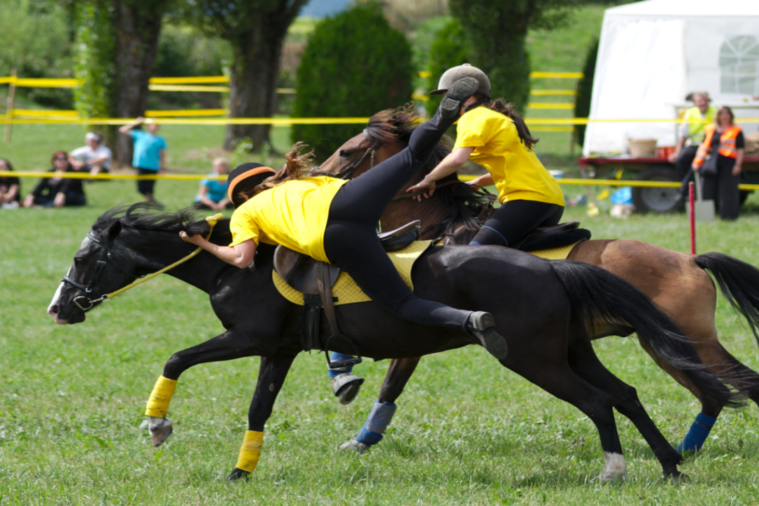 Le le pony-games : découvrez toutes les facettes de la discipline