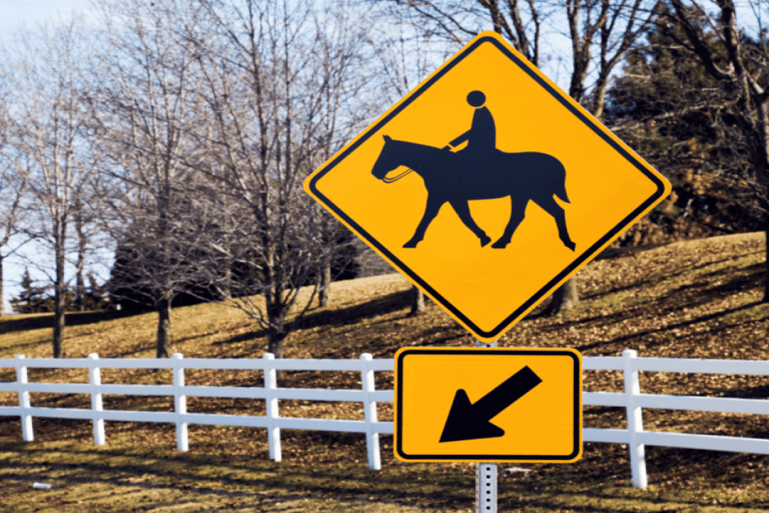 Faire une balade à cheval seul : les conseils d’Équidassur