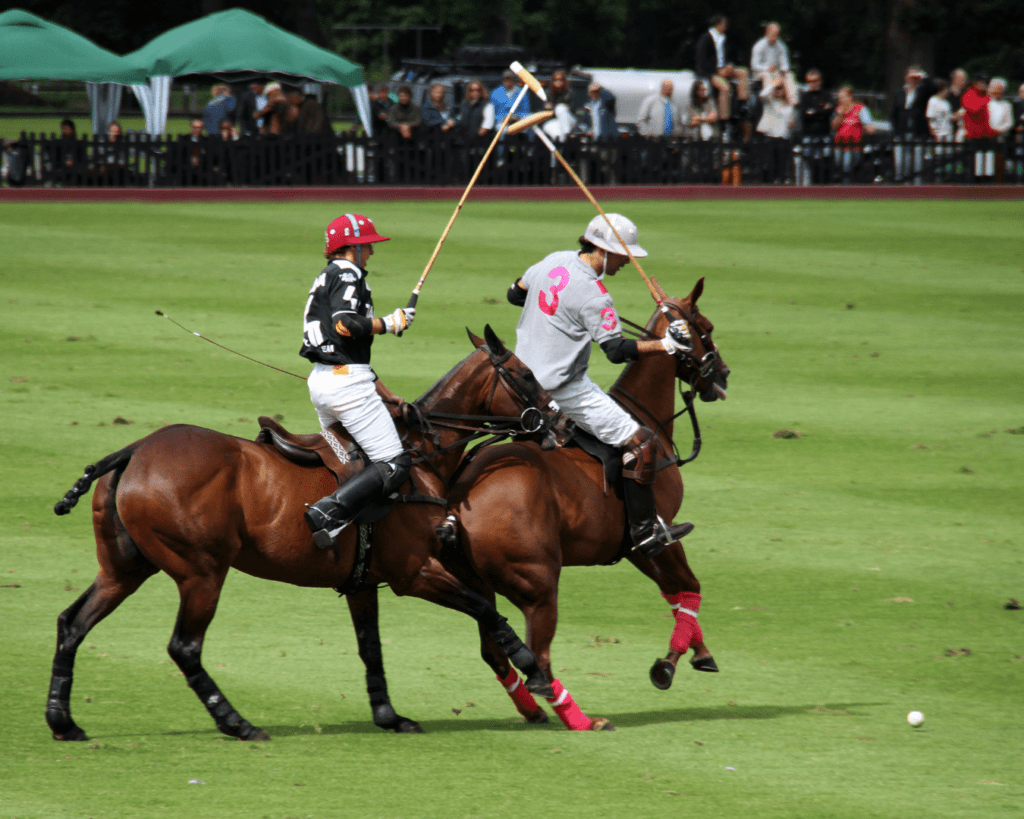 le polo