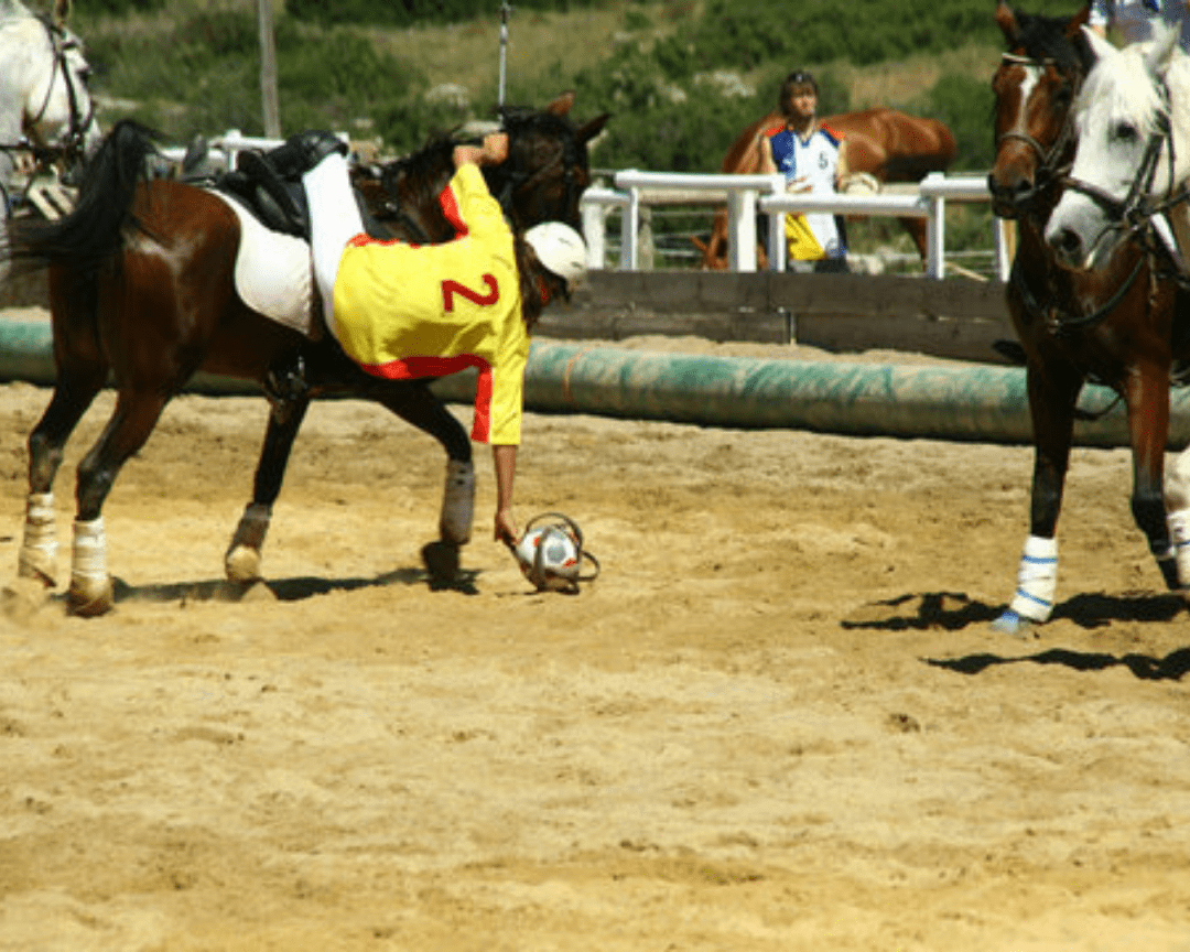 horse-ball