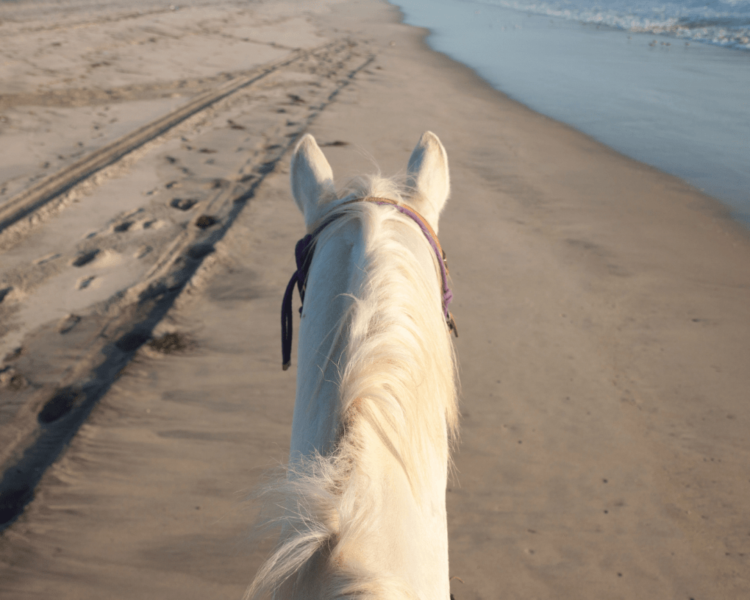 vacances avec son cheval