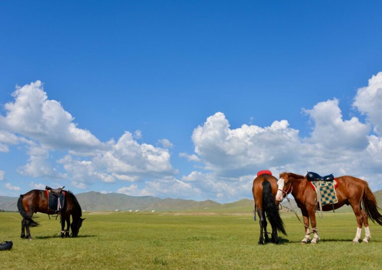 Séjour équestre : où partir à l’étranger pour voyager à cheval ?