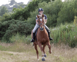 Galop 7 conseils