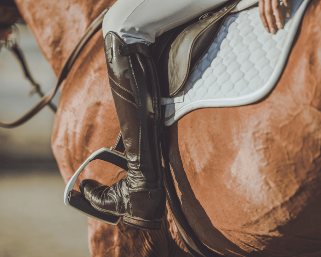tenue d'équitation selle
