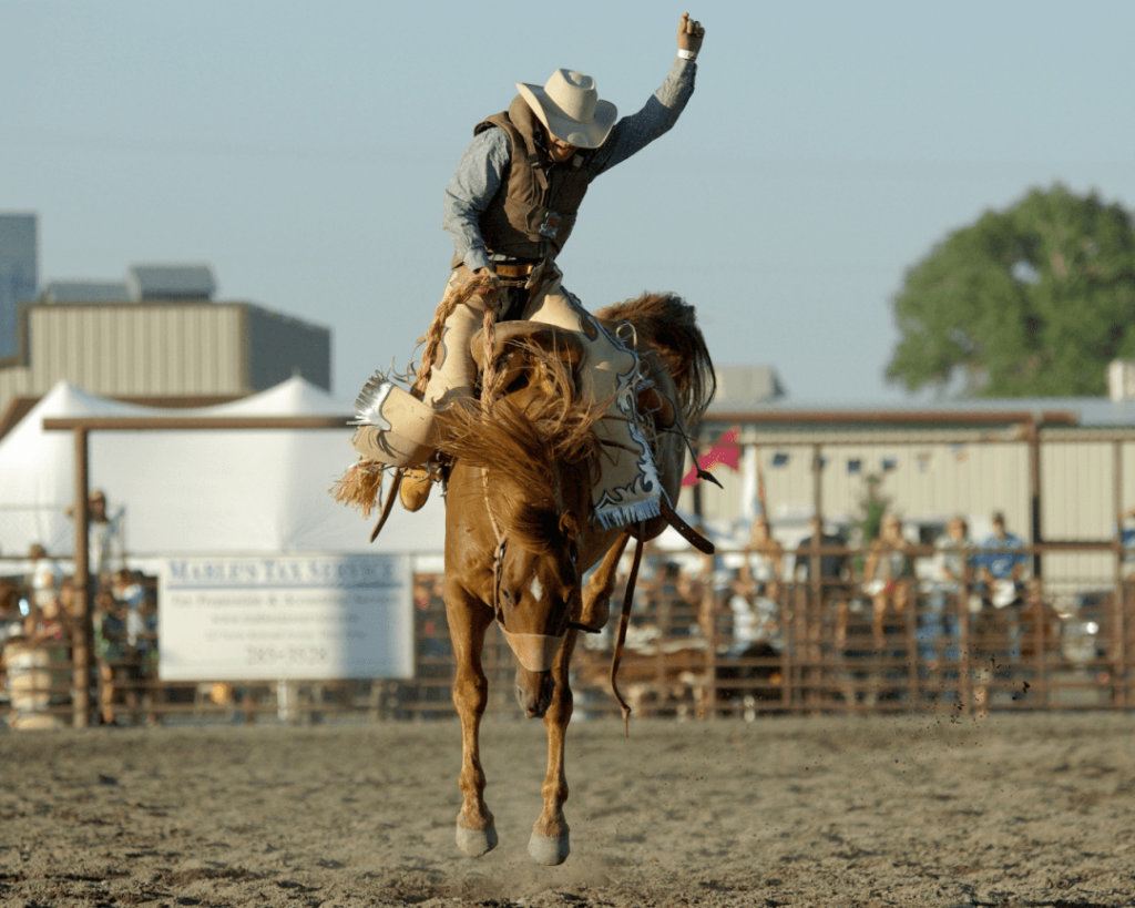 caractéristiques équitation western