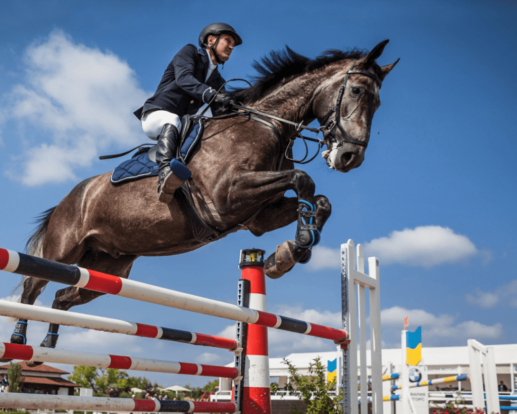 Equidassur Blog Les Diff rents Bar mes En CSO Concours De Saut D 
