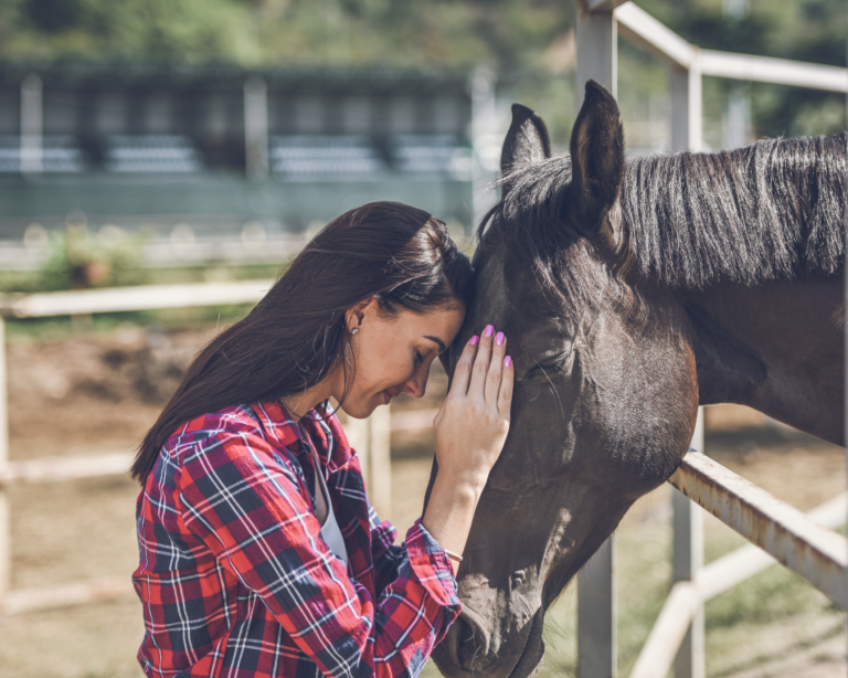 La teigne du cheval : comment la reconnaitre et la soigner ?