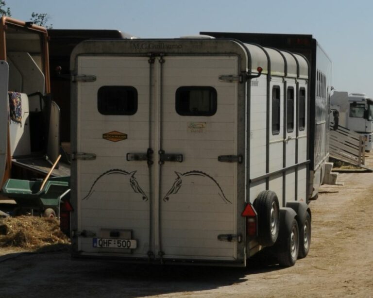 Quels sont les permis autorisés pour les vans à chevaux ?