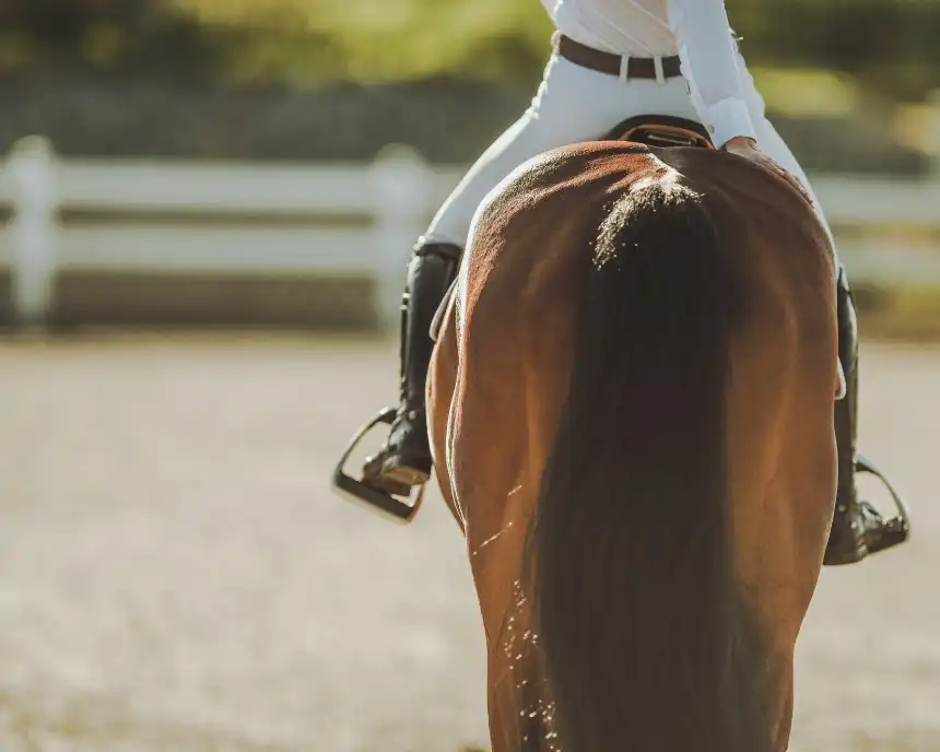 Gros plan sur un cavalier professionnel sur son cheval