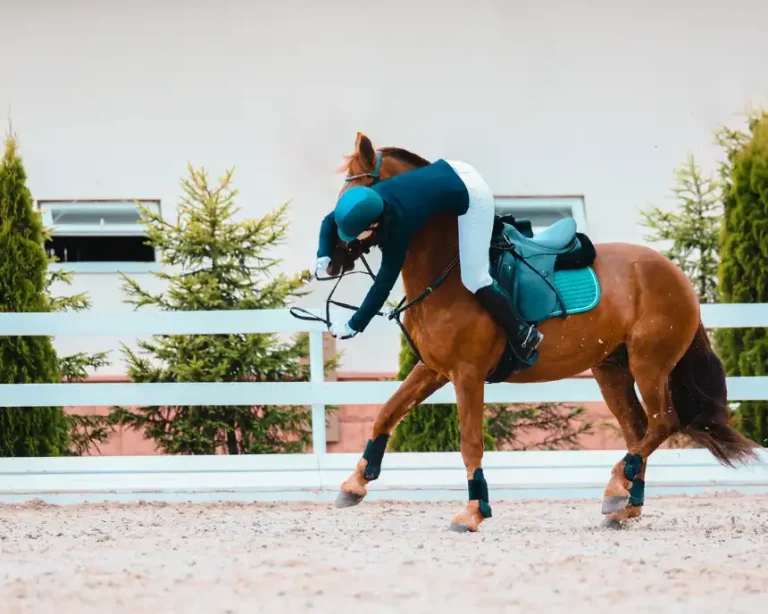 Chute à cheval : bien réagir et éviter les blessures