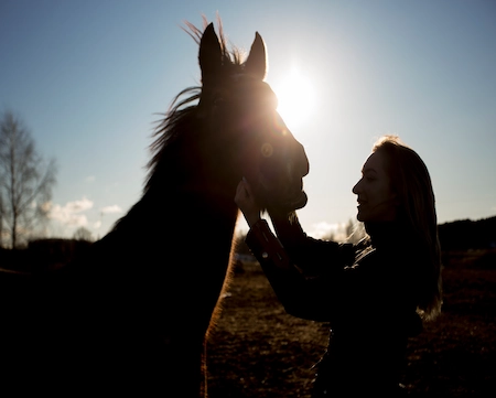 phootsensibilisation cheval